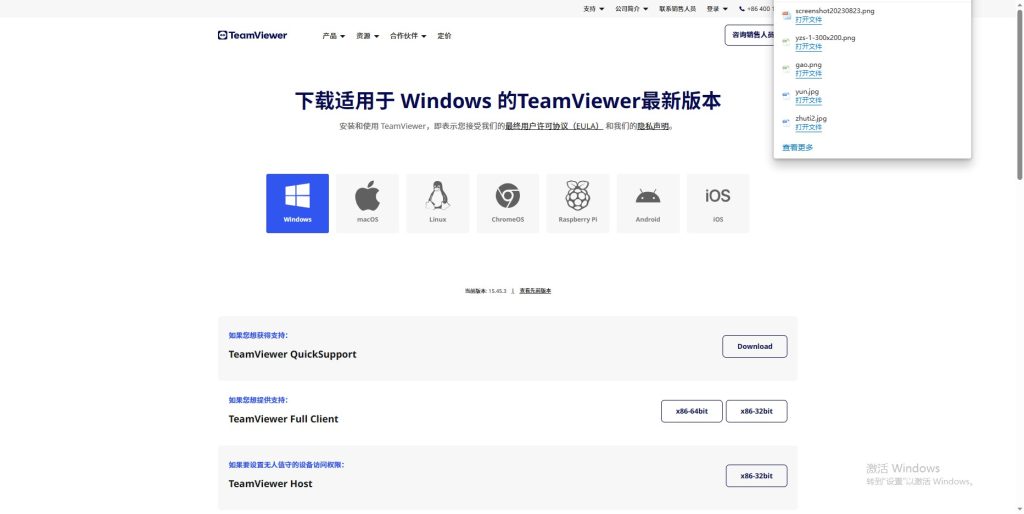 下载TeamViewer