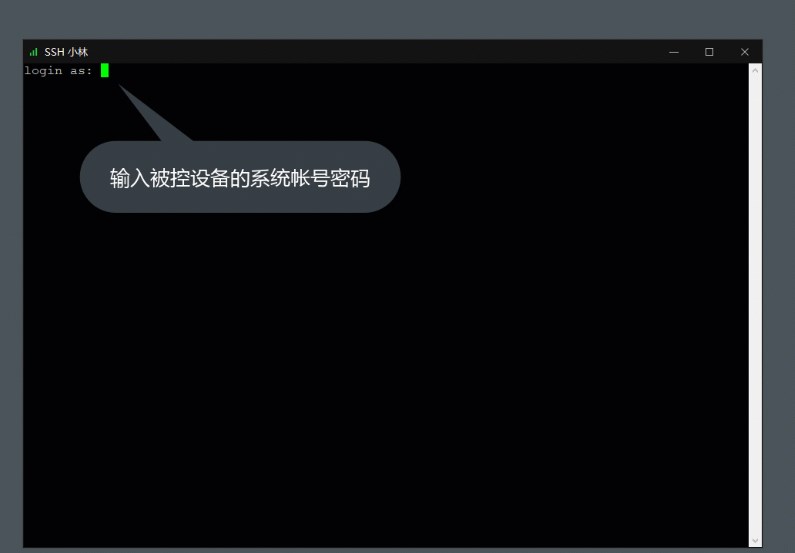 向日葵远程SSH