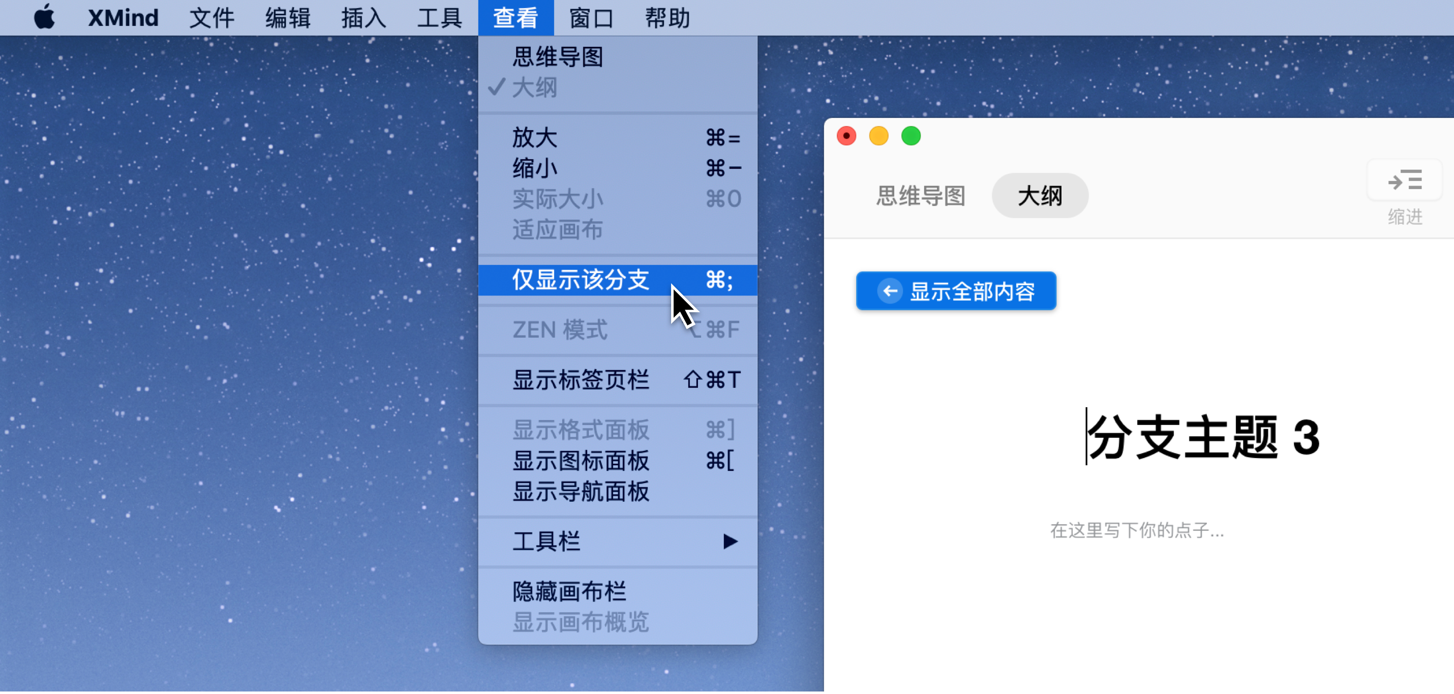 仅显示该分支