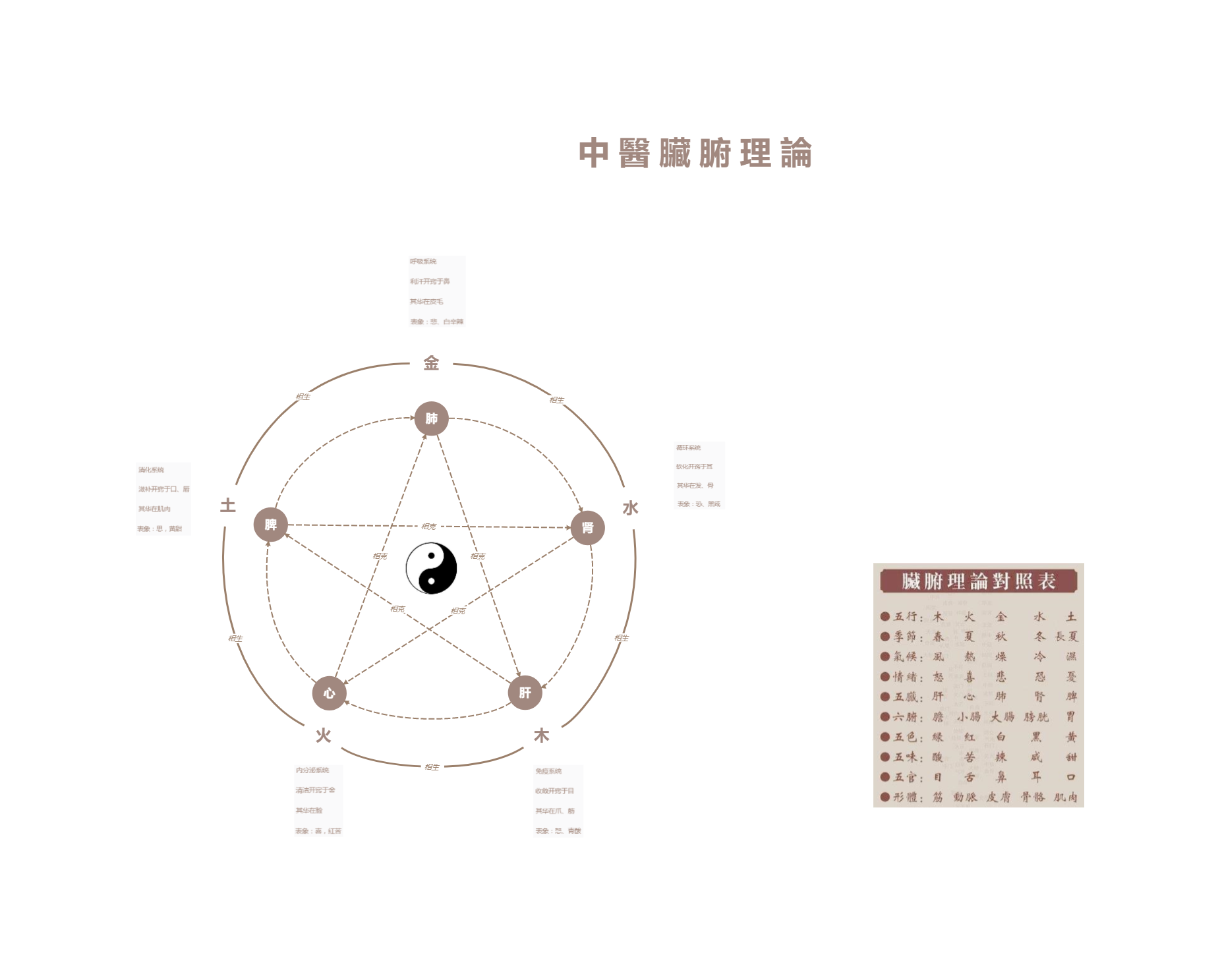 Xmind概念图