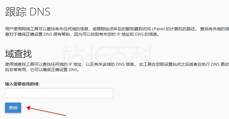cPanel面板跟踪DNS