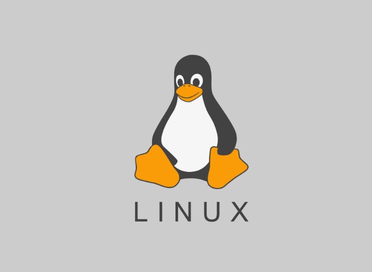 Linux查看进程命令是什么?