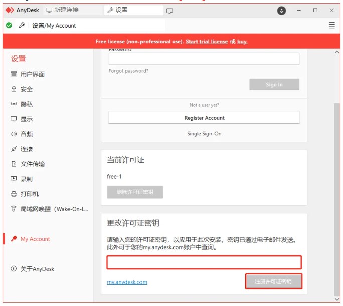 AnyDesk许可证密钥激活