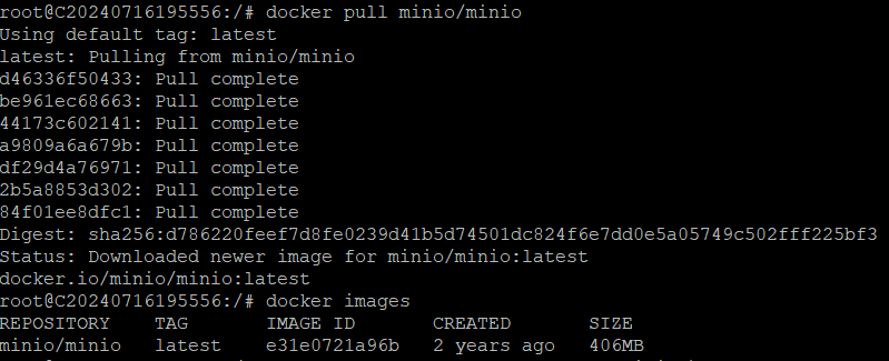 使用Docker部署MinIO