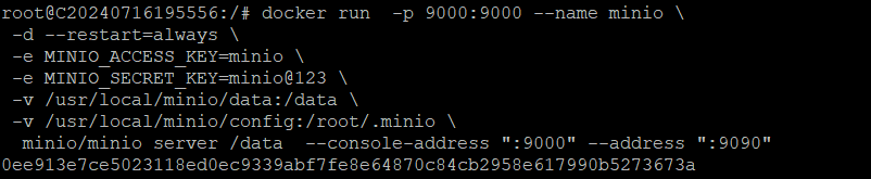 使用Docker部署MinIO