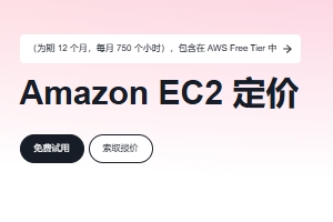 亚马逊云服务器收费标准