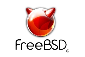 FreeBSD UNIX进阶