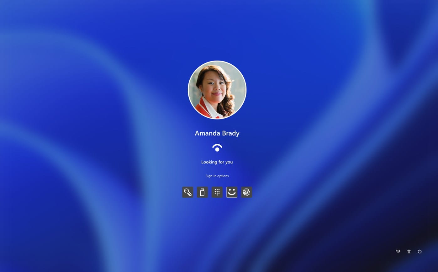 Windows登录选项