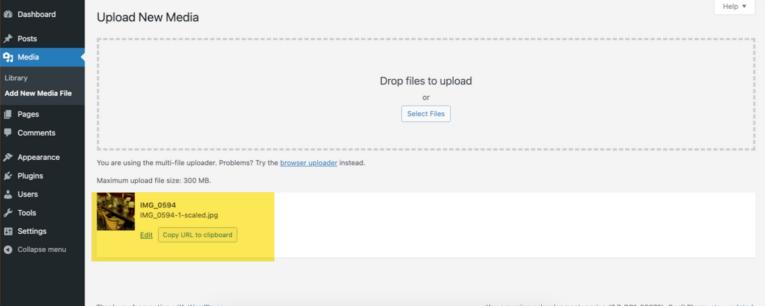 WordPress 6.7