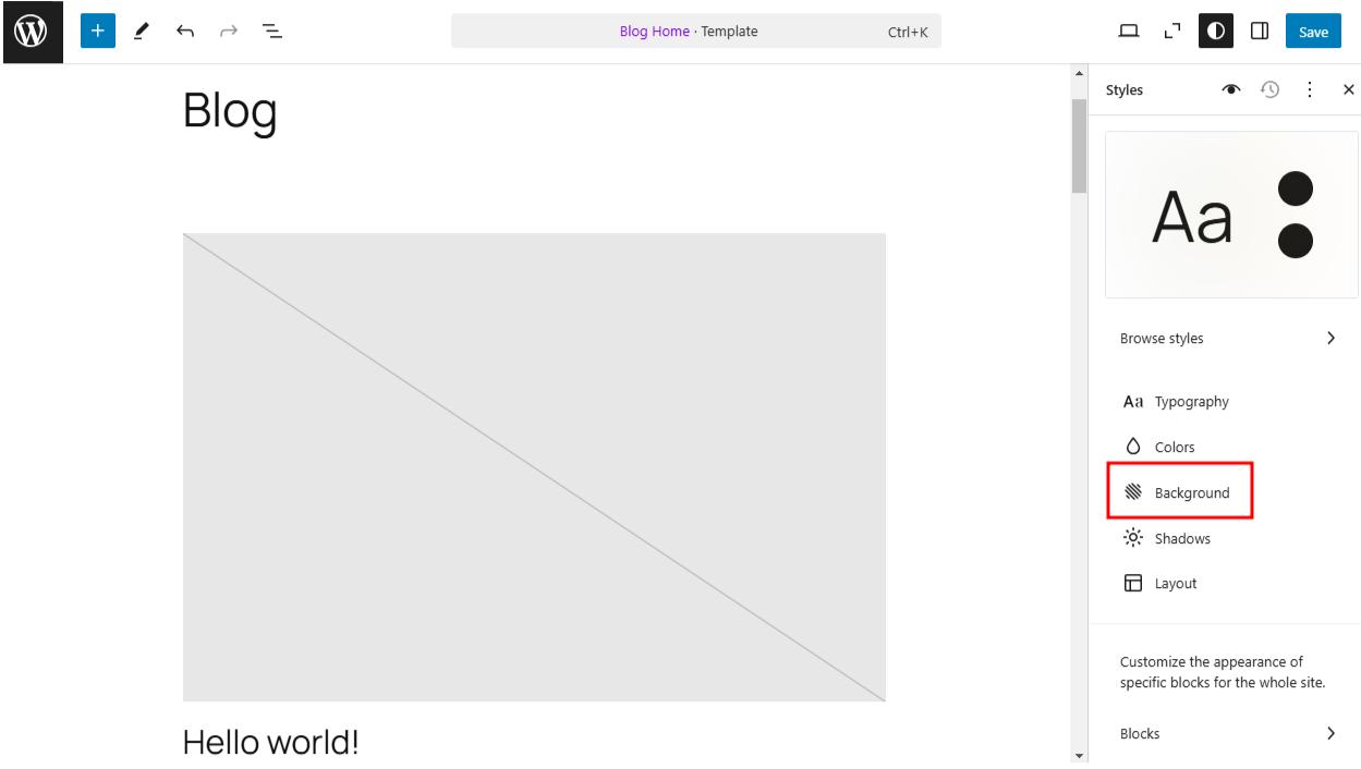 WordPress 6.7