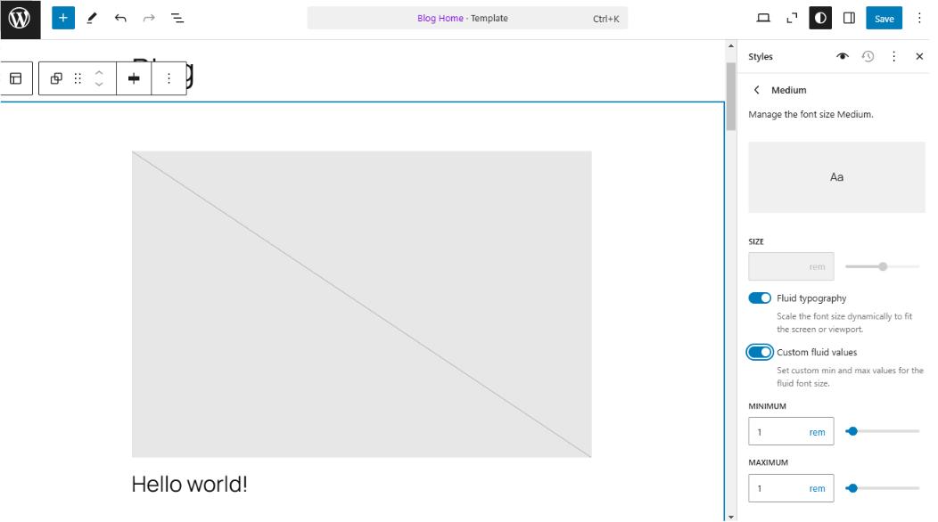 WordPress 6.7