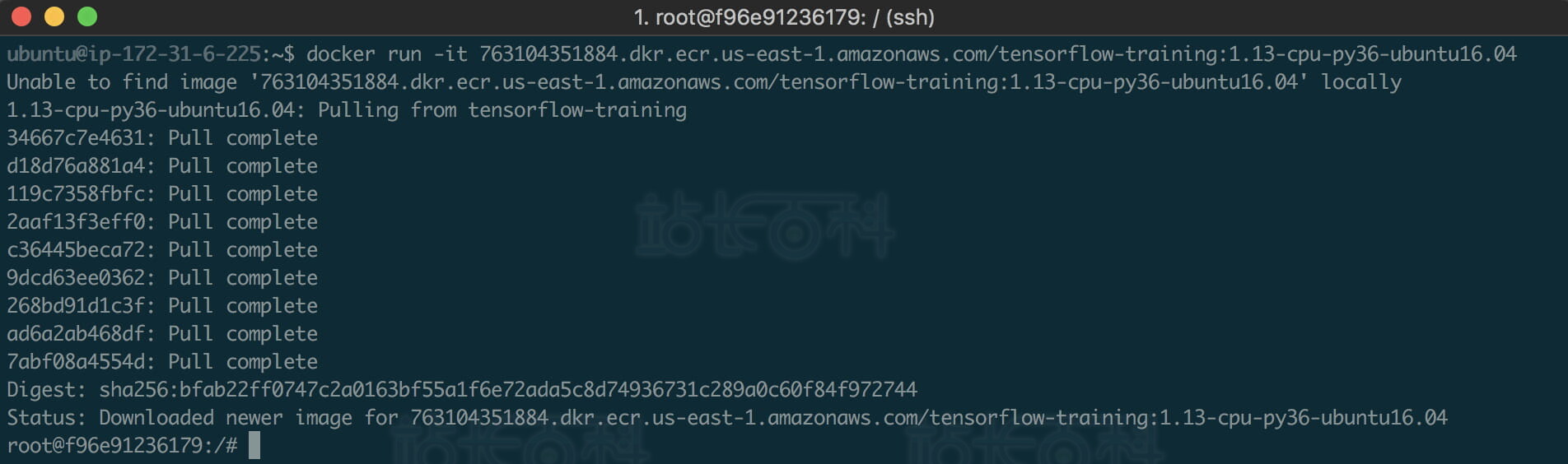 使用Deep Learning Containers运行TensorFlow训练