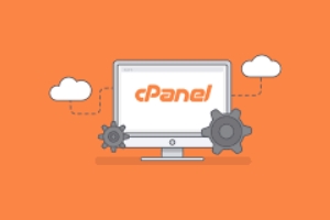 cPanel文件管理器使用技巧