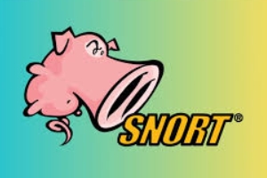 如何在Linux服务器上设置和配置Snort IDS