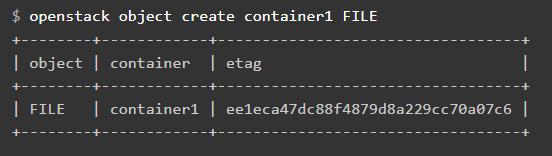 上传一个测试文件到``container1``容器