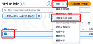 Amazon EC2实例分配弹性IP