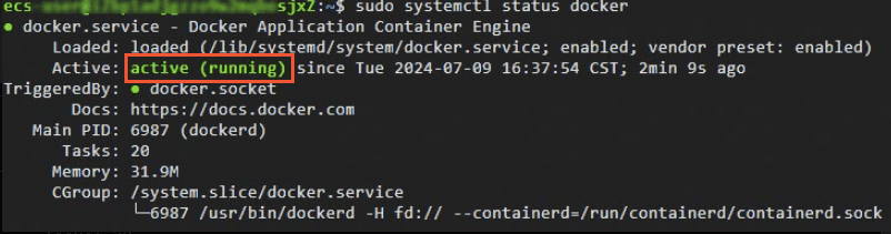 Docker已启动
