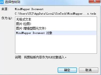 粘贴MindMapper导图