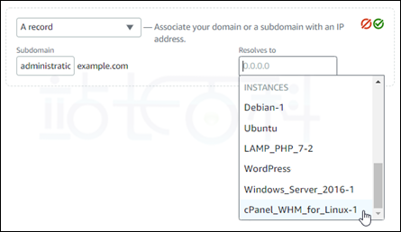 将域名映射到cPanel & WHM实例