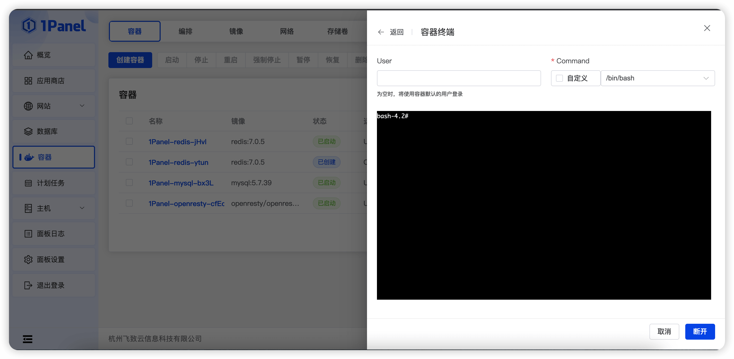访问容器的控制台