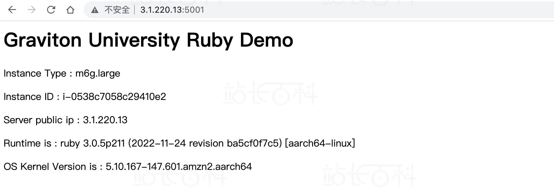 在 Graviton 运行 Ruby 应用程序