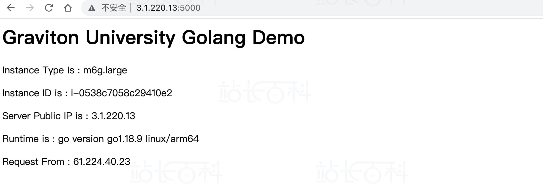 在 Graviton 运行 Go 应用程序
