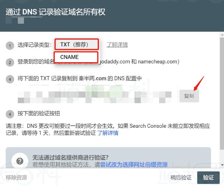 CNAME或TXT记录