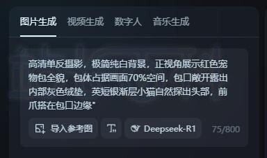 输入DeepSeek提示词