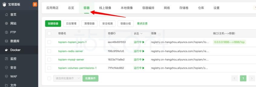 宝塔面板内安装TOPIAM