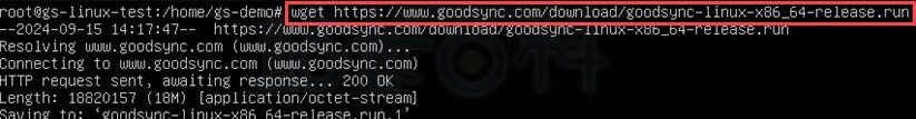 inux系统GoodSync安装