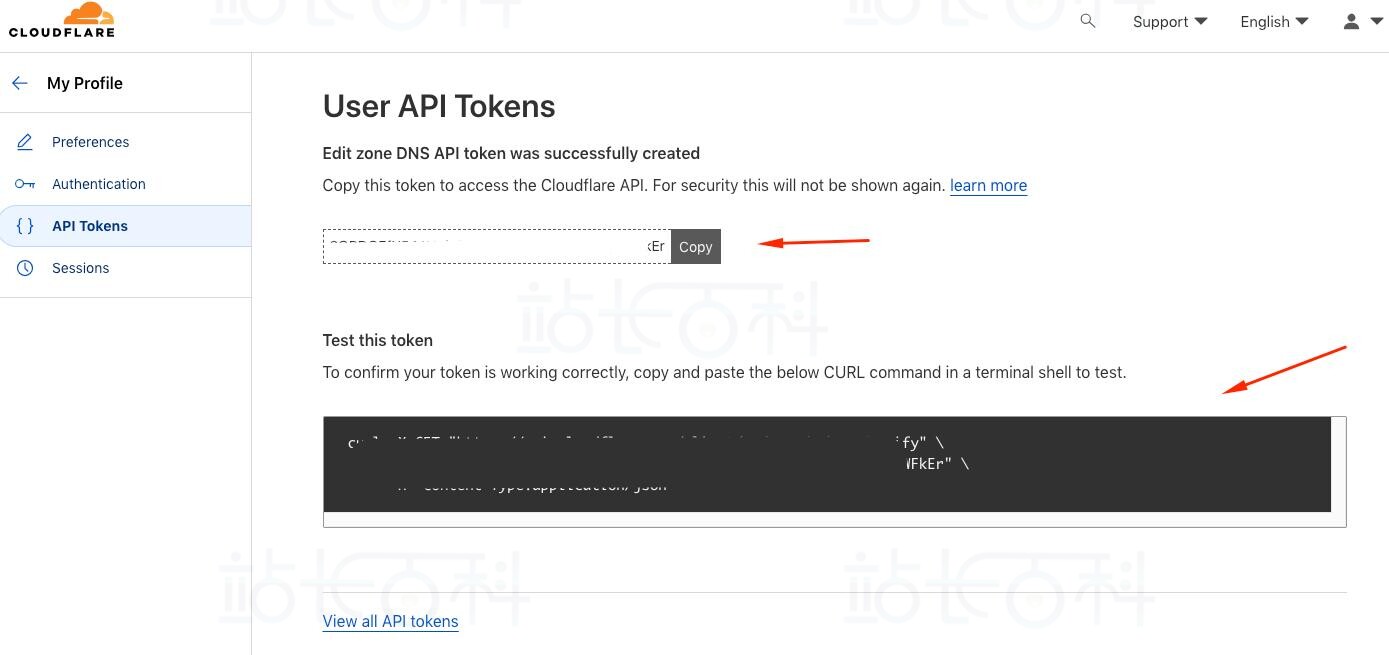 生成Cloudflare API令牌