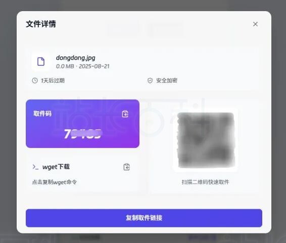 FileCodeBox功能详解