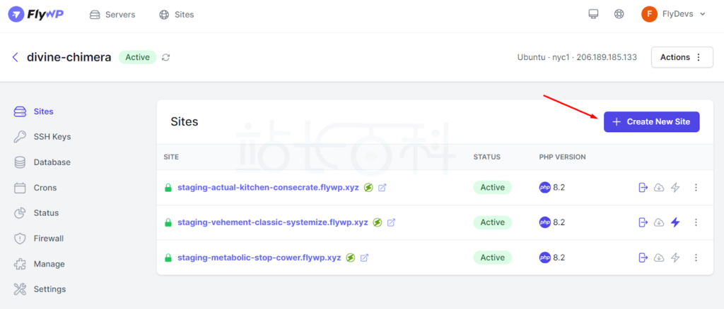 FlyWP创建网站
