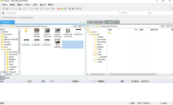 Xshell兼容性
