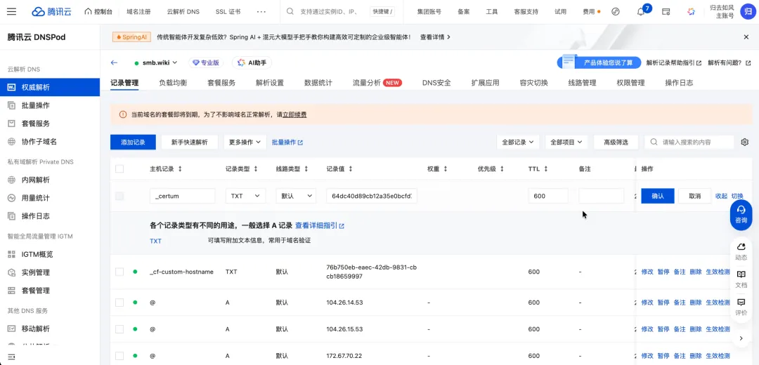 指定解析记录