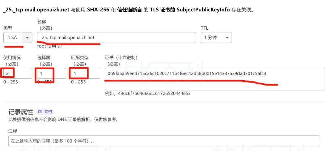 添加一条TXT记录