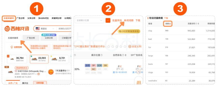 以词找词