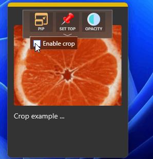 WindowTop [Win]