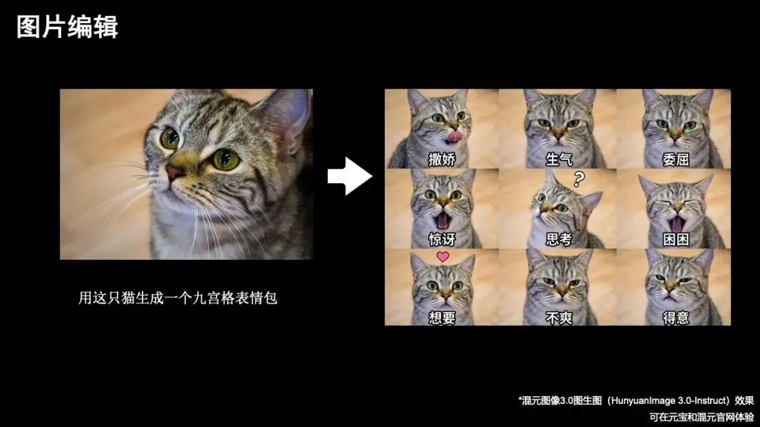 混元图像3.0图生图