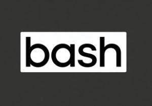 一文看懂bash脚本含义及用法