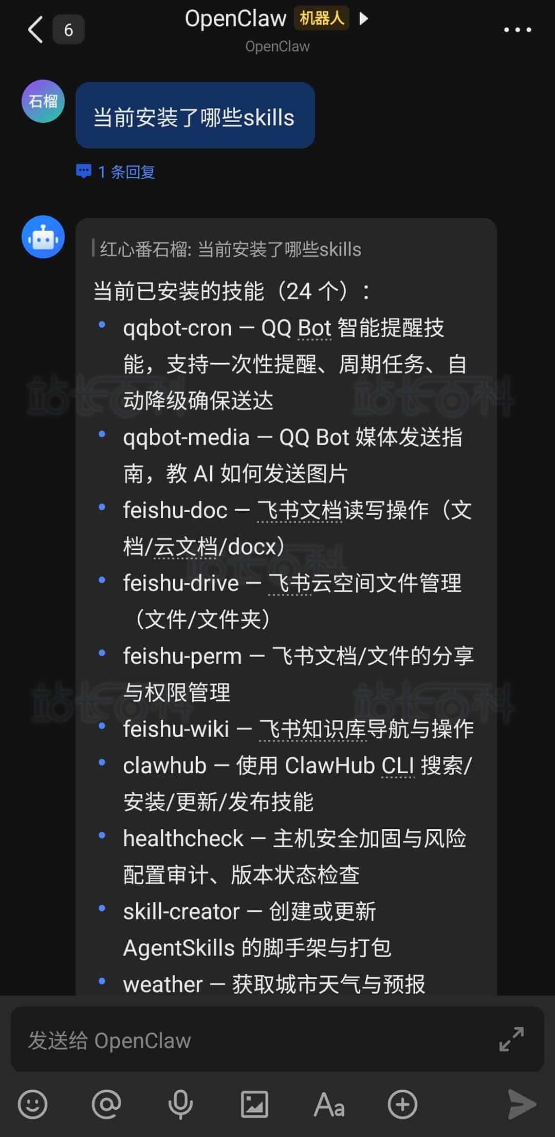 已安装 Skills 列表