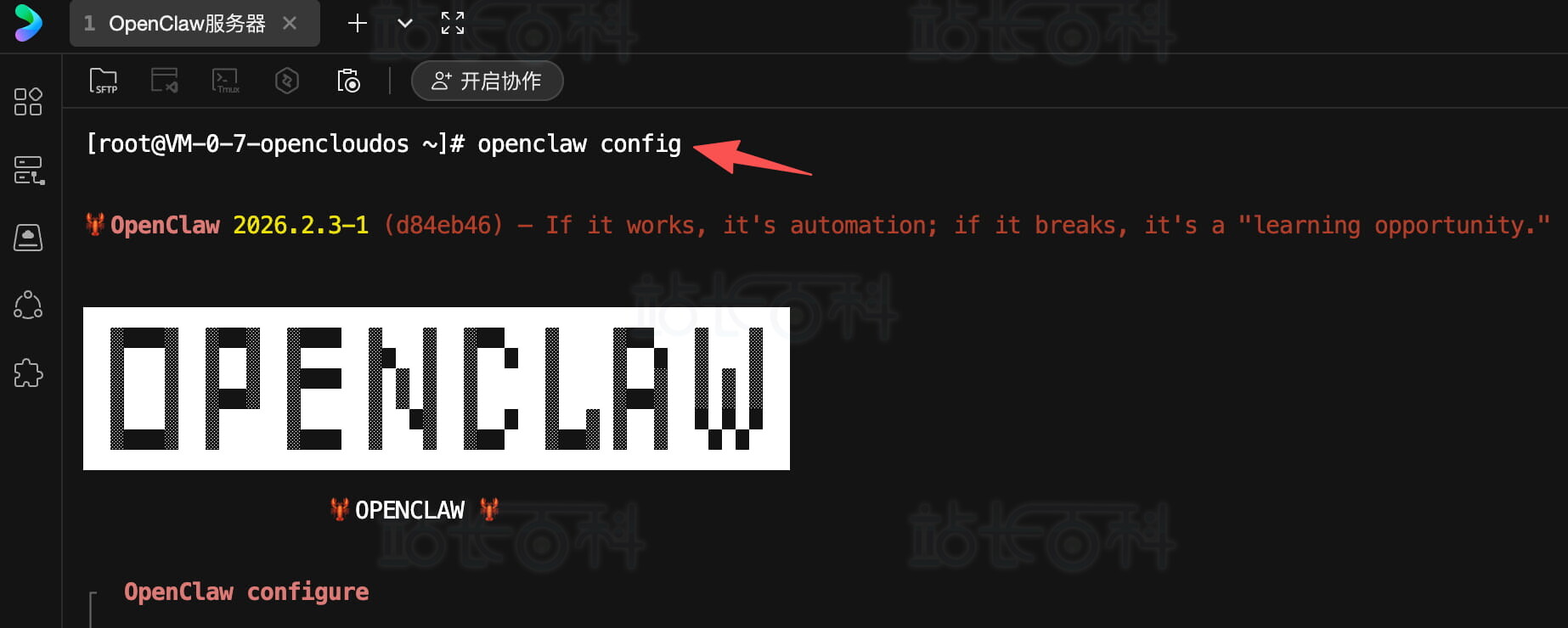 进入OpenClaw命令行配置工具