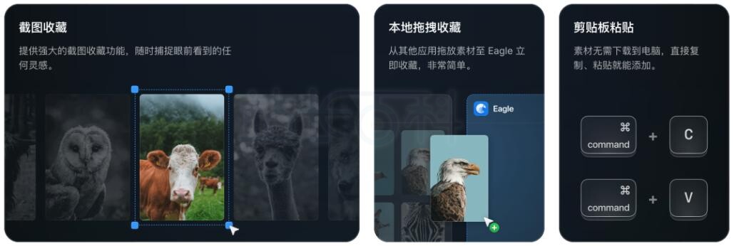 极速收集