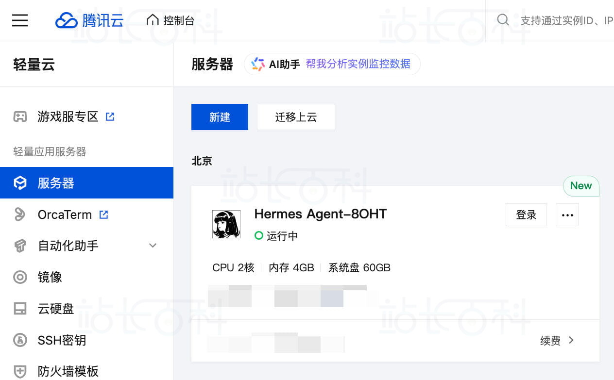 Hermes Agent的实例