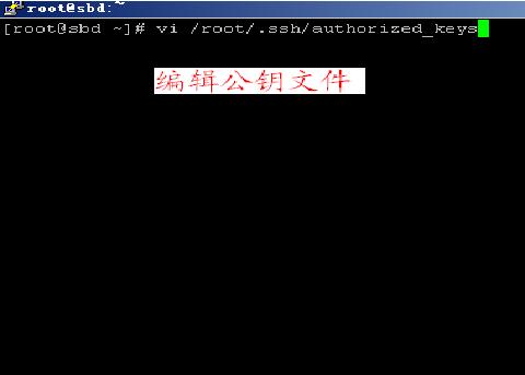 Putty gen7.jpg