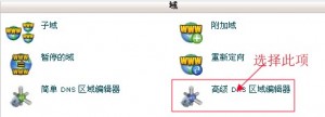 cpanel设置高级DNS教程