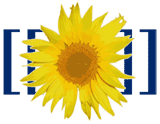 MediaWiki Logo