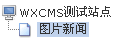 WishCMS NewSite6.png