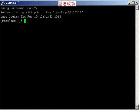 Putty gen11.jpg