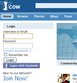 Jcowfacebook.jpg